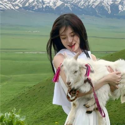 友谊的颜色